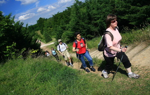 Marche Nordique Forêt de Bondy