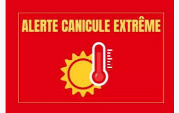 Suspension des cours