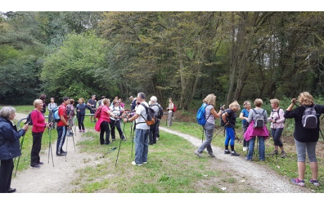 Marche Nordique Forêt de Bondy 08/10/16