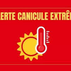 Suspension des cours